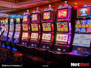 ouricoty|Bingo Online com Cashback Diário – Participe Já